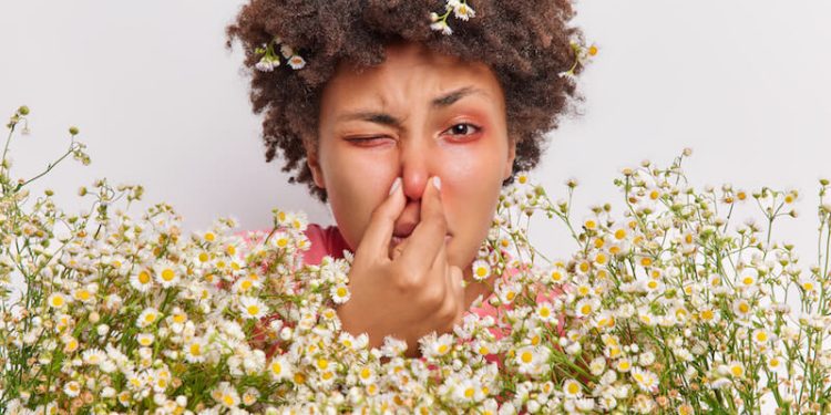 Alerte rouge aux pollens : quand le printemps devient un cauchemar pour les allergiques